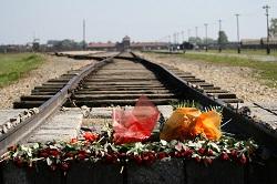 Auschwitz-Birkenau dan sjećanja