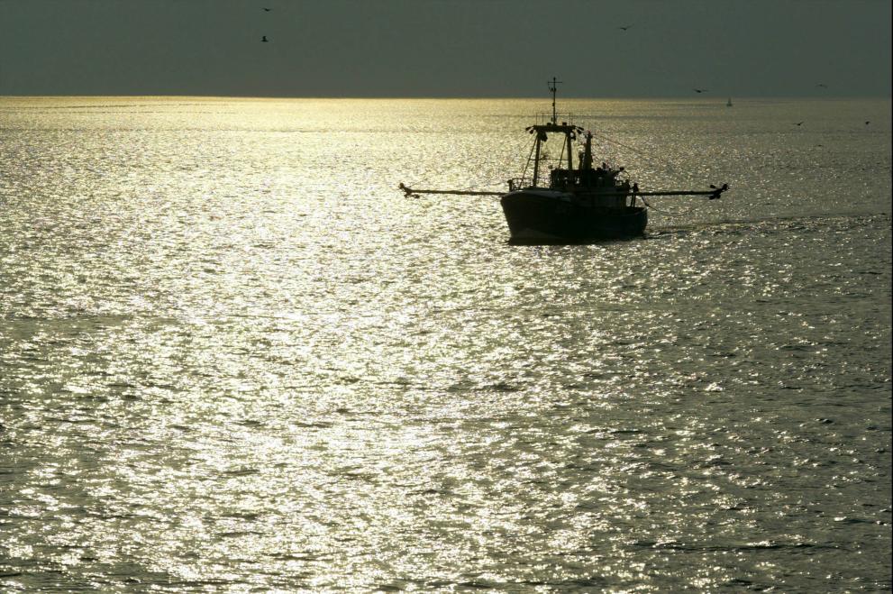 Sredozemno i Crno more: Komisija predlaže ribolovne mogućnosti za 2021.