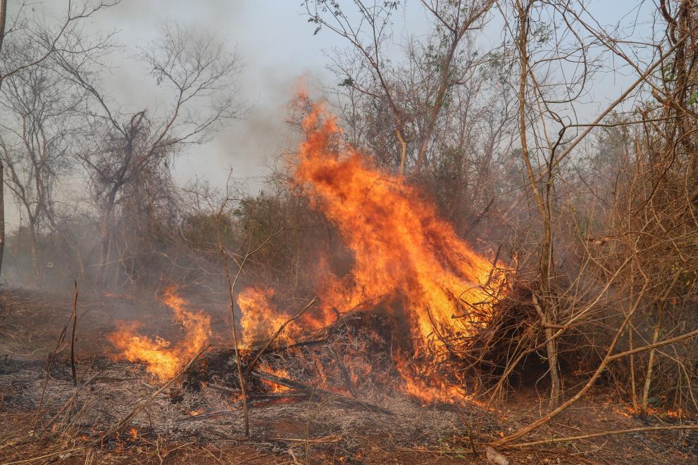 Izvješće Komisije: Europska prirodna područja ugrožena u godini s rekordnim brojem šumskih požara