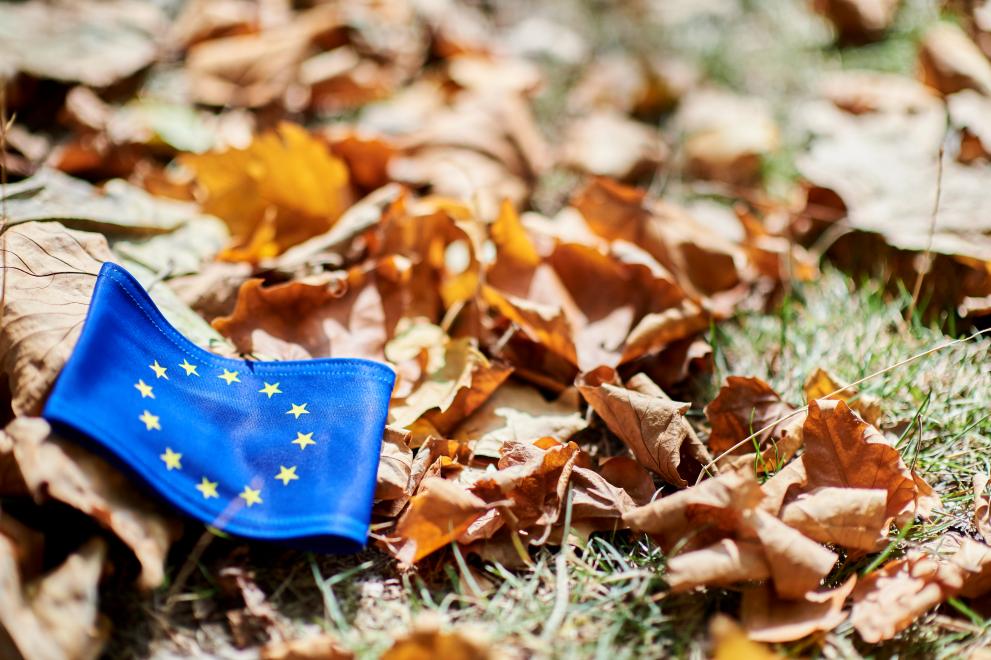 Europska komisija pozdravlja odluku Europskog revizorskog suda da 13. godinu zaredom potvrdi financijske izvještaje EU-a