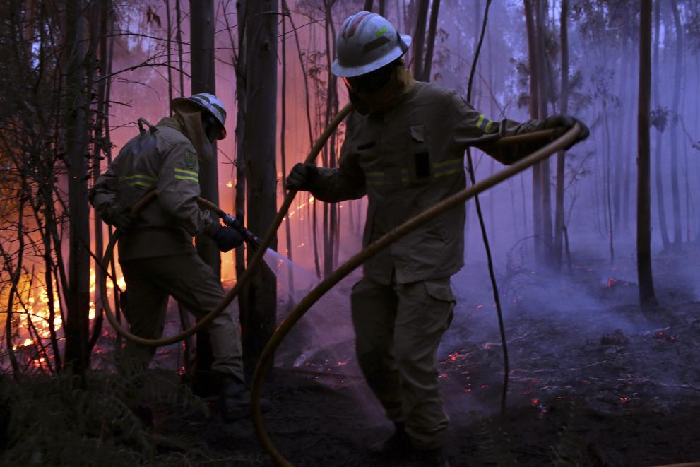 Šumski požari: hitna pomoć EU-a u zaustavljanju razornih šumskih požara na Cipru