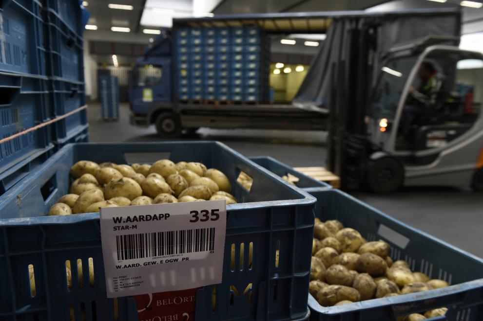 Državne potpore: Komisija odobrila hrvatski program za potporu ulaganjima u distribucijske centre za voće i povrće u iznosu od 54 milijuna eura