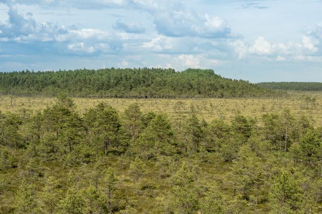 Novi zakon za borbu protiv globalnog krčenja i propadanja šuma