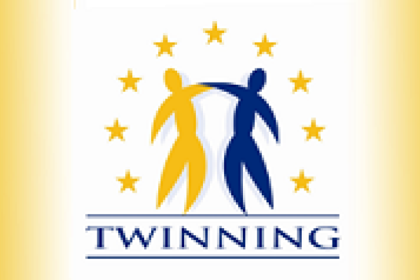Twinning banner