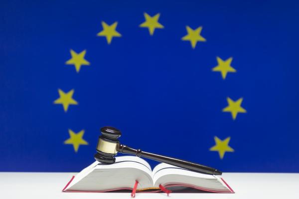 Povelja EU-a o temeljnim pravima: uloga civilnog društva i potreba za jačom potporom